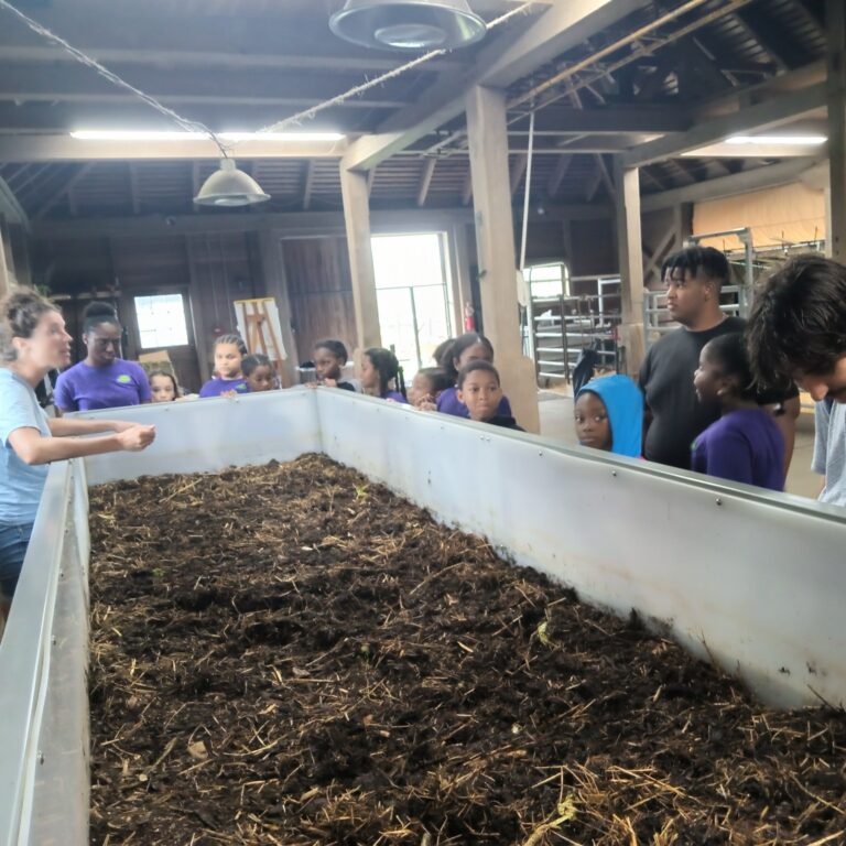 mulch