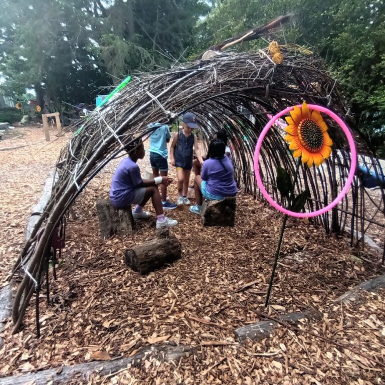 vv nest 2